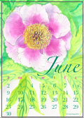 June -- Canna