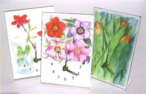 Nicotiana, Hellebore, Tulip Bud Clocks